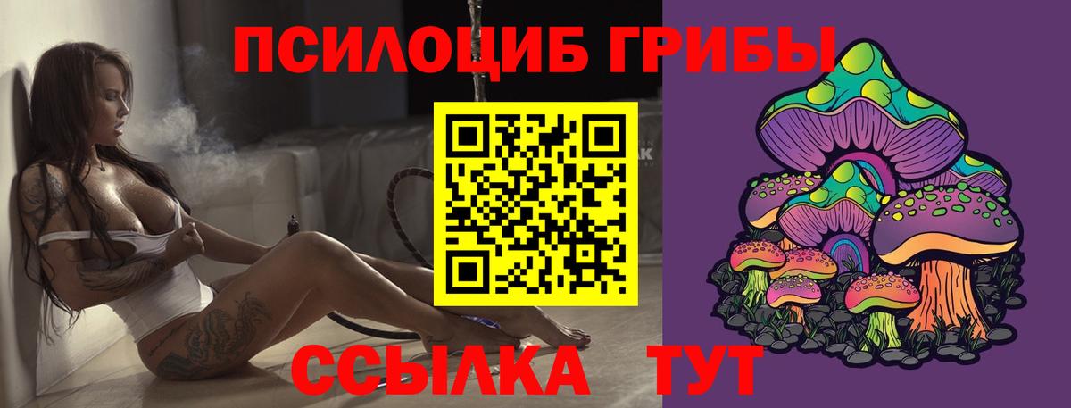 Псилоцибиновые грибы Cubensis  Вход с VPN  Городец 